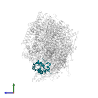 Photosystem II 12 kDa extrinsic protein in PDB entry 5ws6, assembly 1, side view.