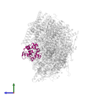 Cytochrome c-550 in PDB entry 5ws6, assembly 1, side view.