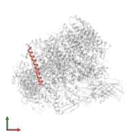 Photosystem II reaction center protein X in PDB entry 5ws6, assembly 1, front view.