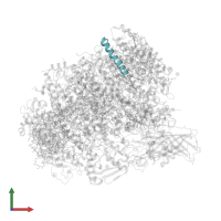 Photosystem II reaction center protein Ycf12 in PDB entry 5ws6, assembly 1, front view.