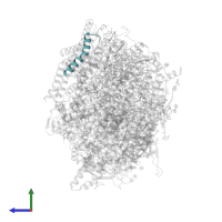 Photosystem II reaction center protein Ycf12 in PDB entry 5ws6, assembly 1, side view.