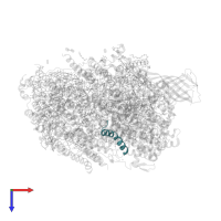 Photosystem II reaction center protein Ycf12 in PDB entry 5ws6, assembly 1, top view.