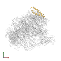 Photosystem II reaction center protein Z in PDB entry 5ws6, assembly 1, front view.