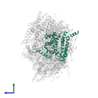 Photosystem II protein D1 in PDB entry 5ws6, assembly 1, side view.