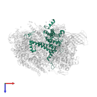 Photosystem II protein D1 in PDB entry 5ws6, assembly 1, top view.