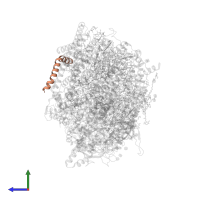 Photosystem II protein Y in PDB entry 5ws6, assembly 1, side view.