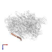 Photosystem II protein Y in PDB entry 5ws6, assembly 1, top view.
