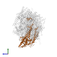 Photosystem II CP47 reaction center protein in PDB entry 5ws6, assembly 1, side view.