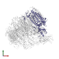 Photosystem II CP43 reaction center protein in PDB entry 5ws6, assembly 1, front view.