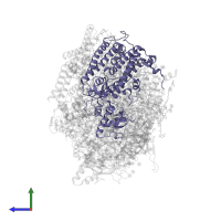 Photosystem II CP43 reaction center protein in PDB entry 5ws6, assembly 1, side view.