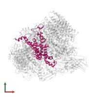 Photosystem II D2 protein in PDB entry 5ws6, assembly 1, front view.