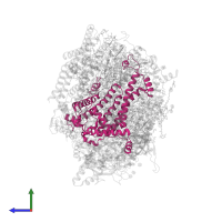 Photosystem II D2 protein in PDB entry 5ws6, assembly 1, side view.