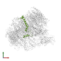 Cytochrome b559 subunit alpha in PDB entry 5ws6, assembly 1, front view.