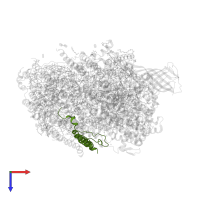 Cytochrome b559 subunit alpha in PDB entry 5ws6, assembly 1, top view.