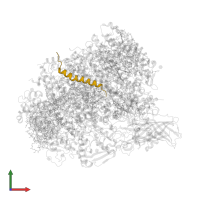 Cytochrome b559 subunit beta in PDB entry 5ws6, assembly 1, front view.