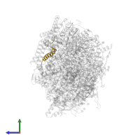 Cytochrome b559 subunit beta in PDB entry 5ws6, assembly 1, side view.