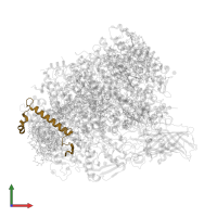 Photosystem II reaction center protein H in PDB entry 5ws6, assembly 1, front view.