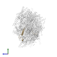 Photosystem II reaction center protein H in PDB entry 5ws6, assembly 1, side view.