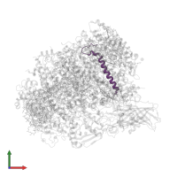 Photosystem II reaction center protein I in PDB entry 5ws6, assembly 1, front view.