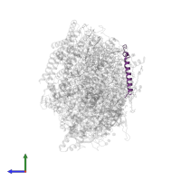 Photosystem II reaction center protein I in PDB entry 5ws6, assembly 1, side view.