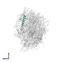 Photosystem II reaction center protein J in PDB entry 5ws6, assembly 1, side view.