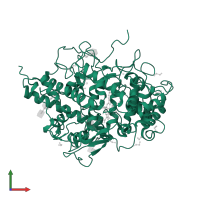 Lactoperoxidase in PDB entry 5wv3, assembly 1, front view.