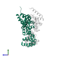 Apoptotic protease-activating factor 1 in PDB entry 5wvc, assembly 1, side view.