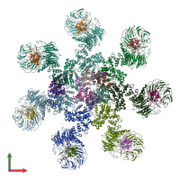 PDB entry 5wve coloured by chain, front view.
