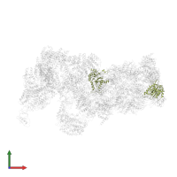Proteasome subunit alpha type-2 in PDB entry 5wvi, assembly 1, front view.