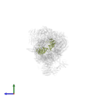 Proteasome subunit alpha type-2 in PDB entry 5wvi, assembly 1, side view.