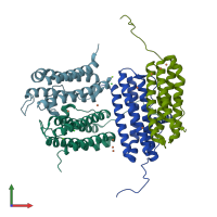 PDB entry 5ww3 coloured by chain, front view.