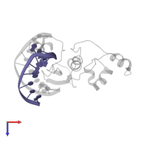 GCC-box motif in PDB entry 5wx9, assembly 1, top view.