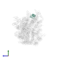 Small ribosomal subunit protein eS4A in PDB entry 5wyk, assembly 1, side view.