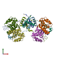 PDB entry 5x3t coloured by chain, front view.