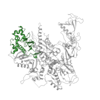 The deposited structure of PDB entry 5x50 contains 1 copy of Pfam domain PF04561 (RNA polymerase Rpb2, domain 2) in DNA-directed RNA polymerase subunit beta. Showing 1 copy in chain B.