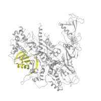 The deposited structure of PDB entry 5x50 contains 1 copy of Pfam domain PF04566 (RNA polymerase Rpb2, domain 4) in DNA-directed RNA polymerase subunit beta. Showing 1 copy in chain B.