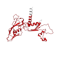The deposited structure of PDB entry 5x50 contains 1 copy of Pfam domain PF01193 (RNA polymerase Rpb3/Rpb11 dimerisation domain) in DNA-directed RNA polymerase RpoA/D/Rpb3-type domain-containing protein. Showing 1 copy in chain C.