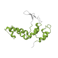 The deposited structure of PDB entry 5x50 contains 1 copy of Pfam domain PF03874 (RNA polymerase Rpb4) in RNA polymerase Rpb4/RPC9 core domain-containing protein. Showing 1 copy in chain D.