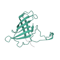 The deposited structure of PDB entry 5x50 contains 1 copy of Pfam domain PF03870 (RNA polymerase Rpb8) in DNA-directed RNA polymerases I, II, and III subunit RPABC3. Showing 1 copy in chain H.
