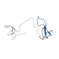 The deposited structure of PDB entry 5x50 contains 1 copy of Pfam domain PF01096 (Transcription factor S-II (TFIIS)) in DNA-directed RNA polymerase subunit. Showing 1 copy in chain I.