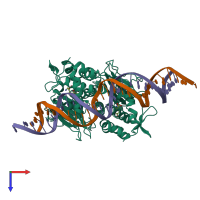 Hetero tetrameric assembly 2 of PDB entry 5x6e coloured by chemically distinct molecules, top view.