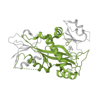 The deposited structure of PDB entry 5xaf contains 1 copy of CATH domain 3.30.470.20 (D-amino Acid Aminotransferase; Chain A, domain 1) in TTL ligase. Showing 1 copy in chain F.