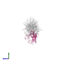 TTL ligase in PDB entry 5xaf, assembly 1, side view.