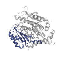 The deposited structure of PDB entry 5xag contains 2 copies of Pfam domain PF03953 (Tubulin C-terminal domain) in Tubulin beta-2B chain. Showing 1 copy in chain B.