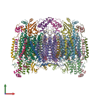 PDB entry 5xdx coloured by chain, front view.