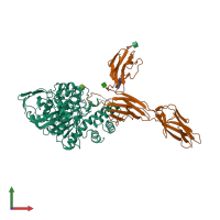 PDB entry 5xeq coloured by chain, front view.