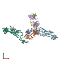 PDB entry 5xez coloured by chain, front view.