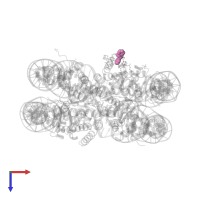 (1R,2R)-1,2-diphenylethane-1,2-diamine in PDB entry 5xf3, assembly 1, top view.