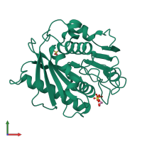 PDB entry 5xfy coloured by chain, front view.
