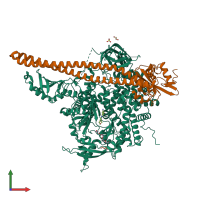 PDB entry 5xgi coloured by chain, front view.